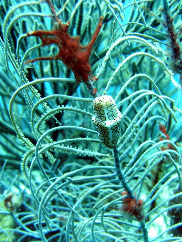 2011-09-04 14-42-58 Lisa.JPG